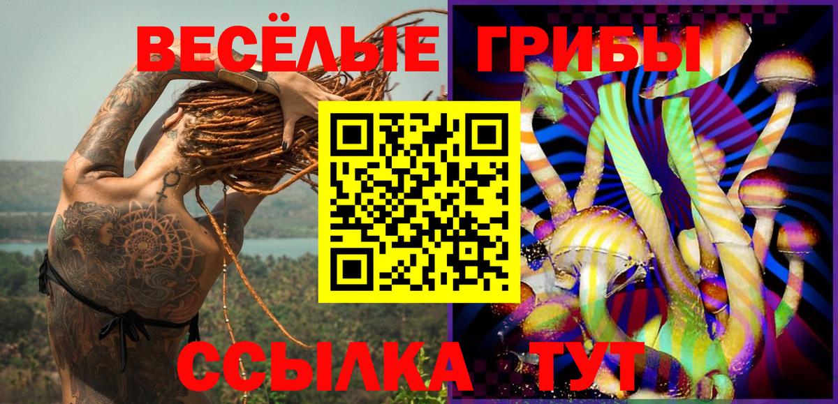 Галлюциногенные грибы Cubensis Строитель
