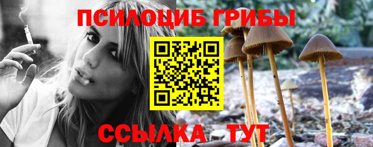 Галлюциногенные грибы прущие грибы  Галлюциногенные грибы ЛСД  Строитель  закладка  Вход с VPN 